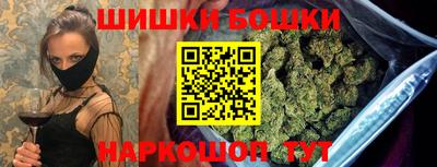 индика Коммунар